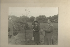 Coronation Oak Planting on Old Hills