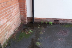 Drains Before Repairs